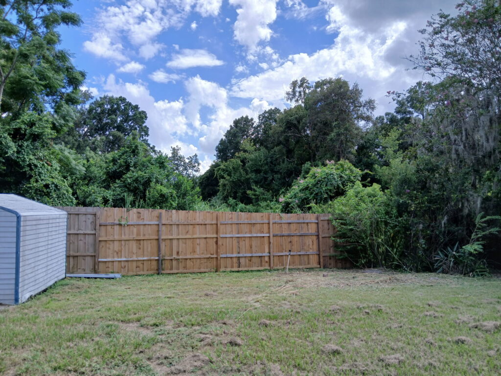 After lawn cleanup in a Central Florida backyard with trimmed grass and a clear fence line
