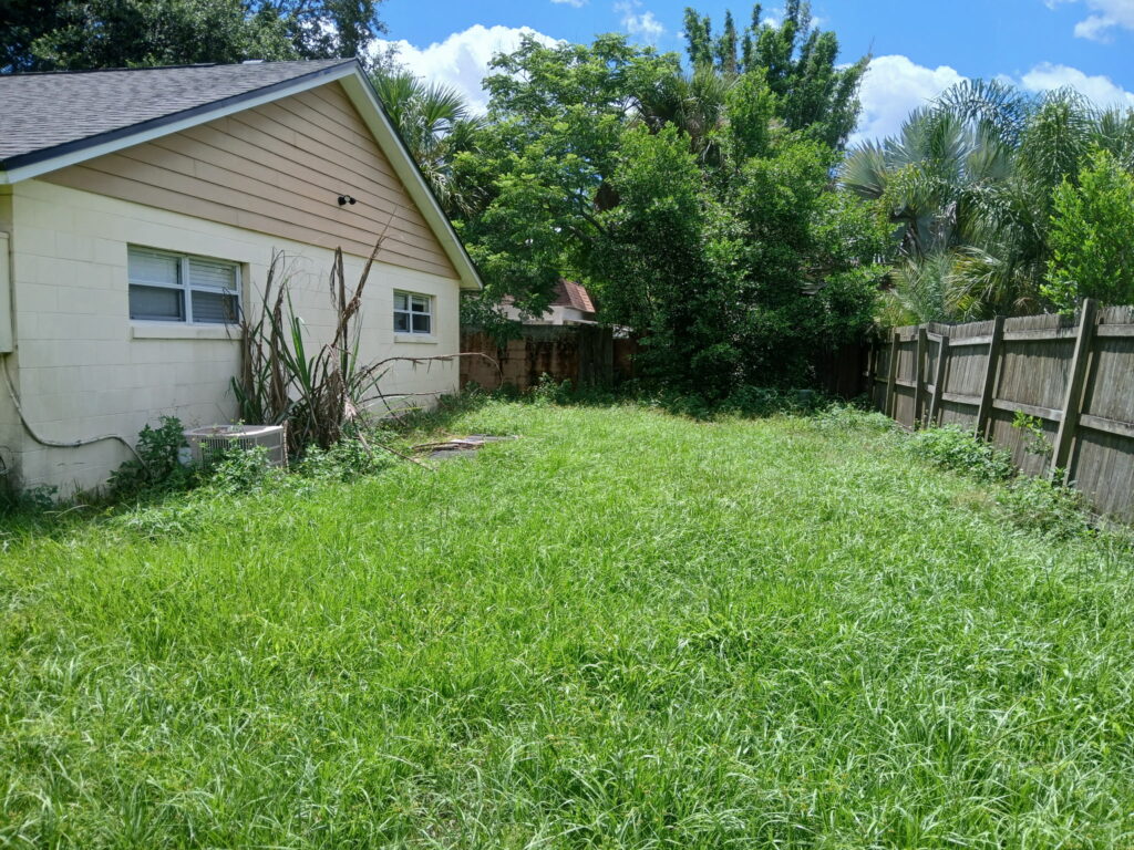 Before residential yard mowing with tall green grass beside a Central Florida home