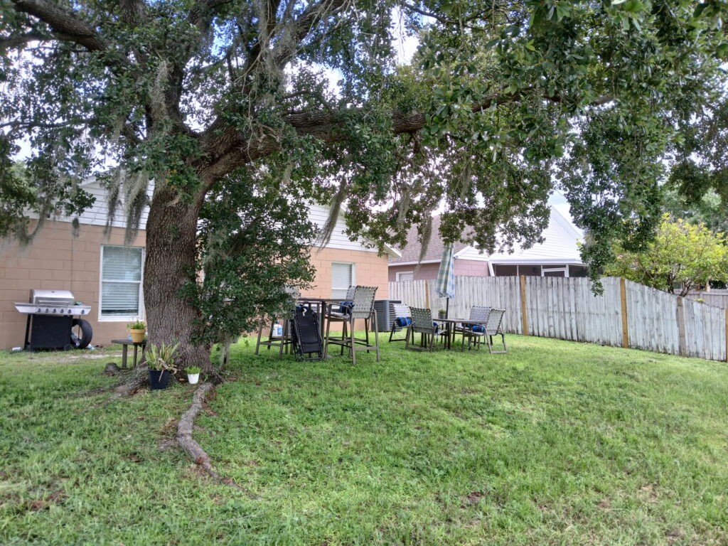 After lawn care under a large shade tree with cleaner grass and yard edges