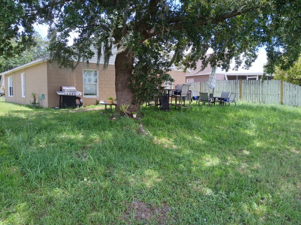 Before lawn care under a large shade tree in a Central Florida backyard