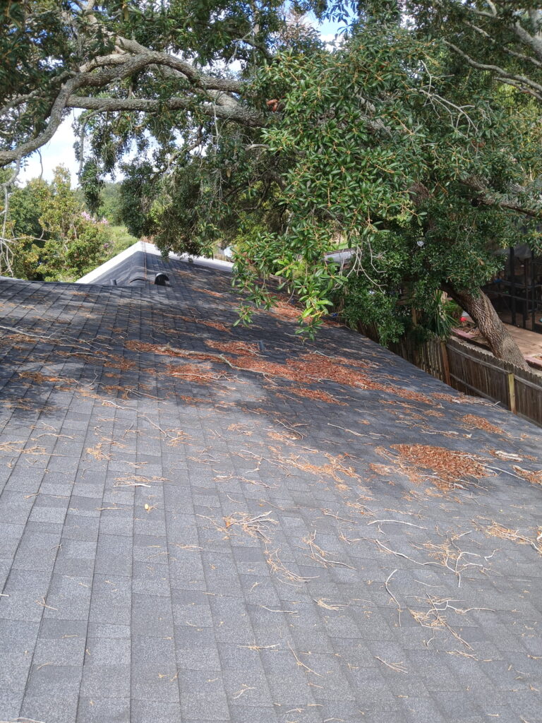 Before roof cleaning with leaves and debris on a shingle roof in Central Florida