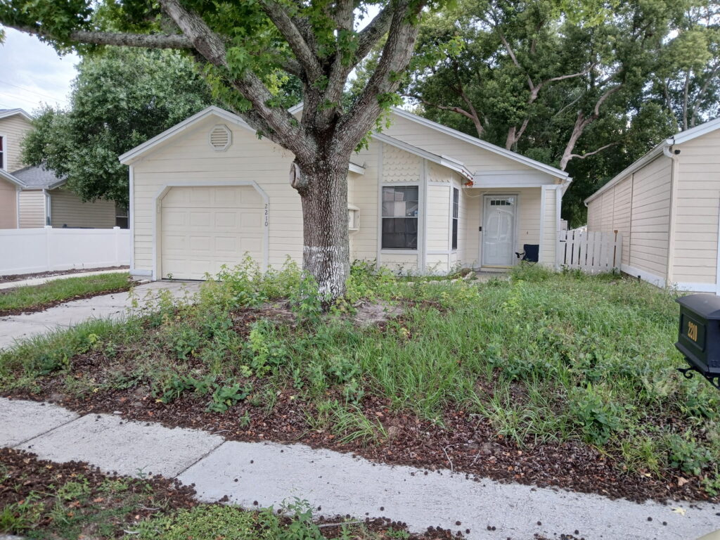 Before front landscape cleanup with weeds and overgrowth near a small home