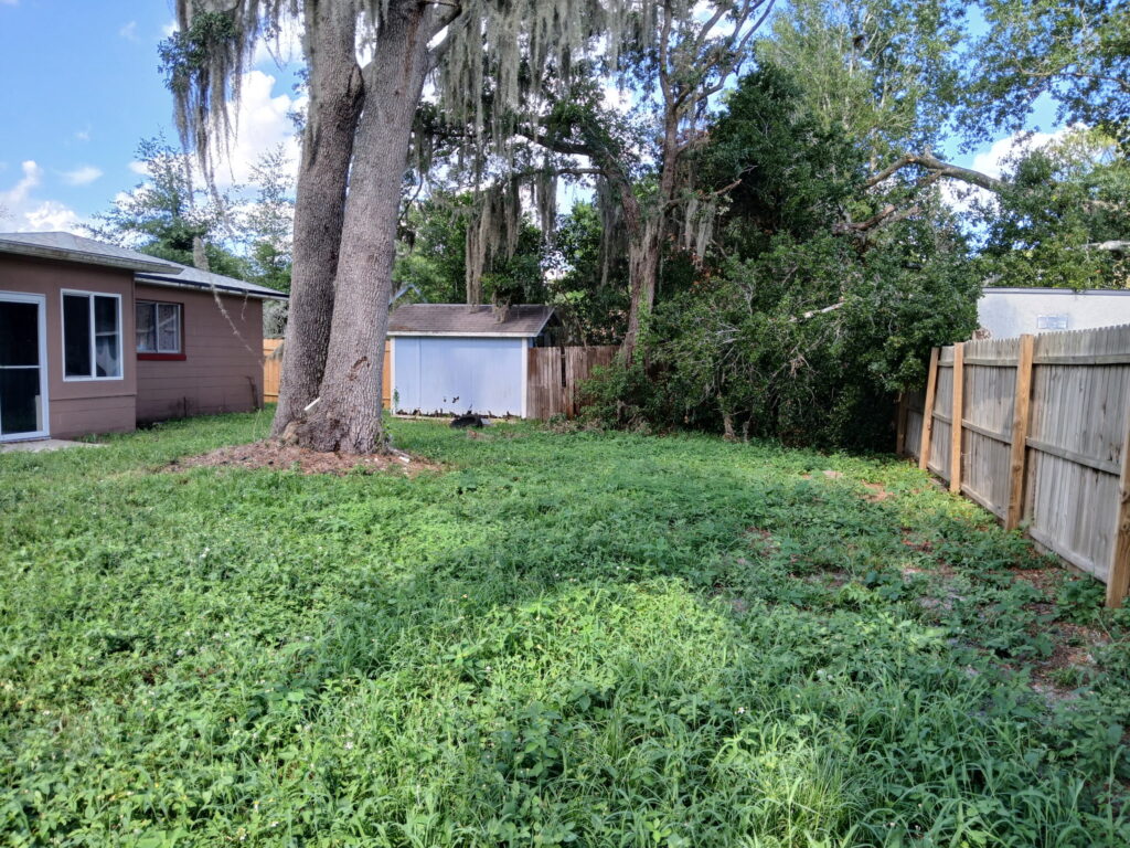 Before backyard landscaping cleanup with tall grass and overgrowth along a fence
