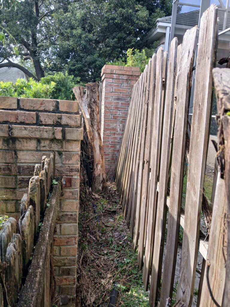 Side yard clearing project with a narrow outdoor path beside fencing
