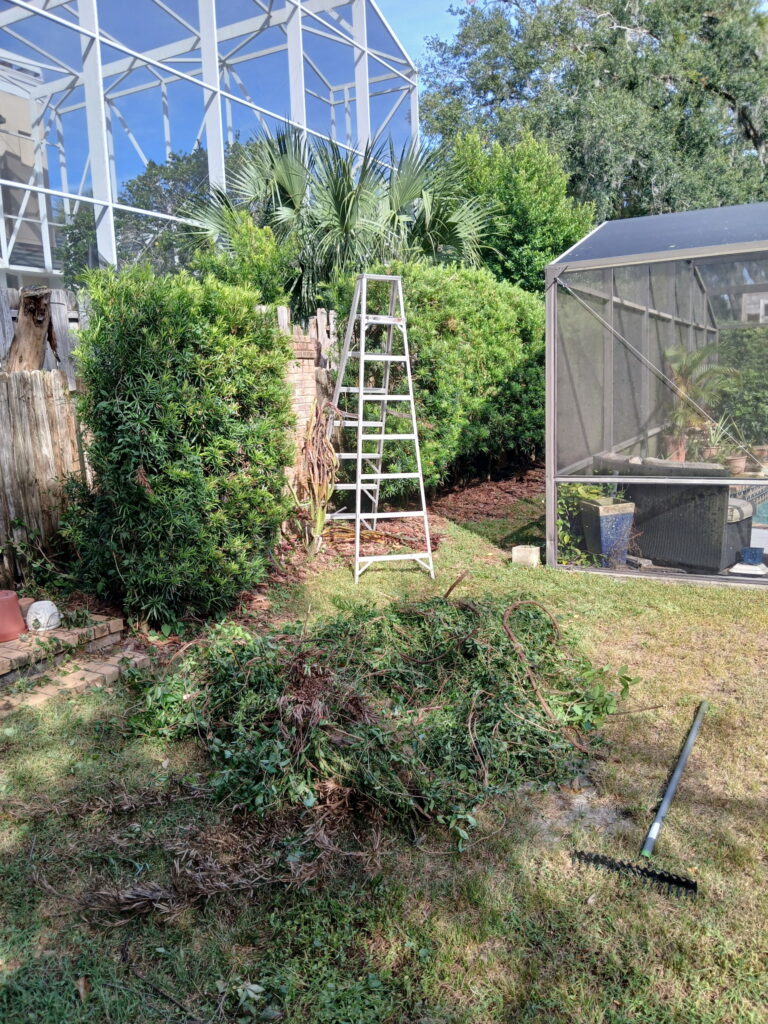 Lawn debris cleanup near a screened enclosure with branches and yard waste gathered