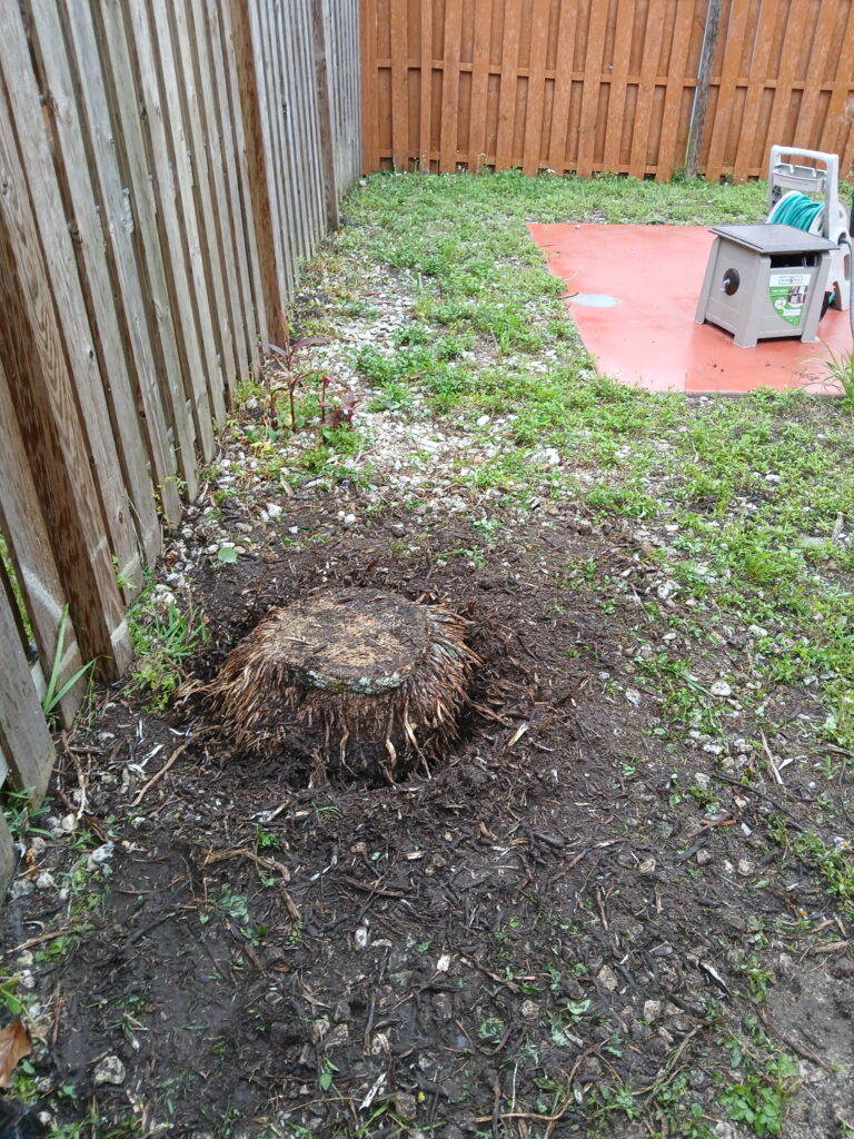 Backyard stump removal project with exposed stump area near a wooden fence